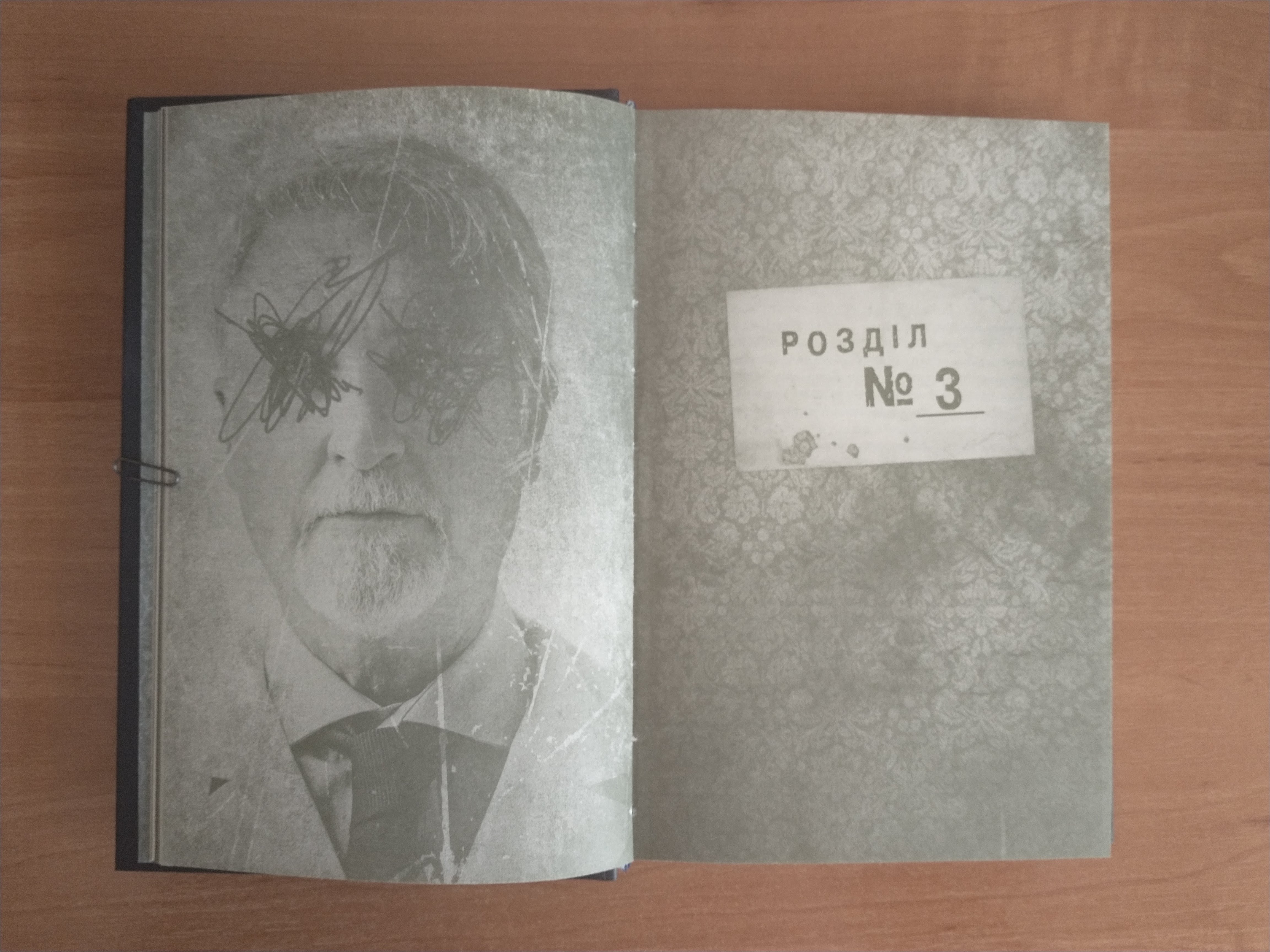 Ілюстрації з книжки Меделін Ру «Притулок»