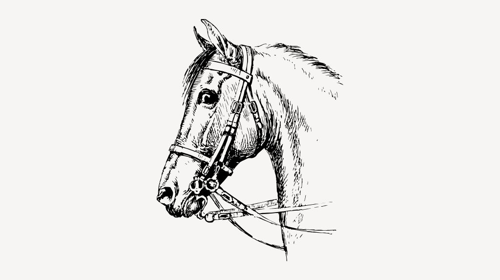 Строкатий кінь